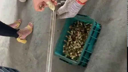 15mm Triangle Magnetic Chamfer with Single Side Magnet