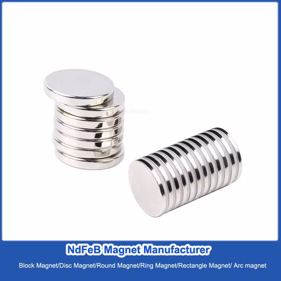 Customized Magnet Segment Magnet Neodymium Magnet