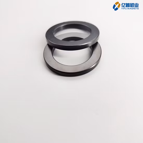Customized Ring Compression Molding Neodymium Bonded NdFeB Magnets